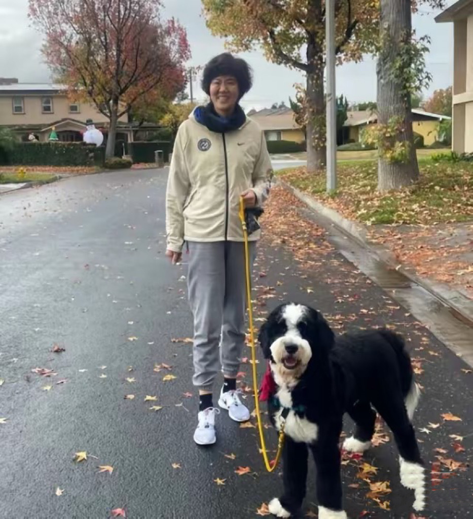 还特别喜欢, vVcTe 还特别喜欢, vVcTe